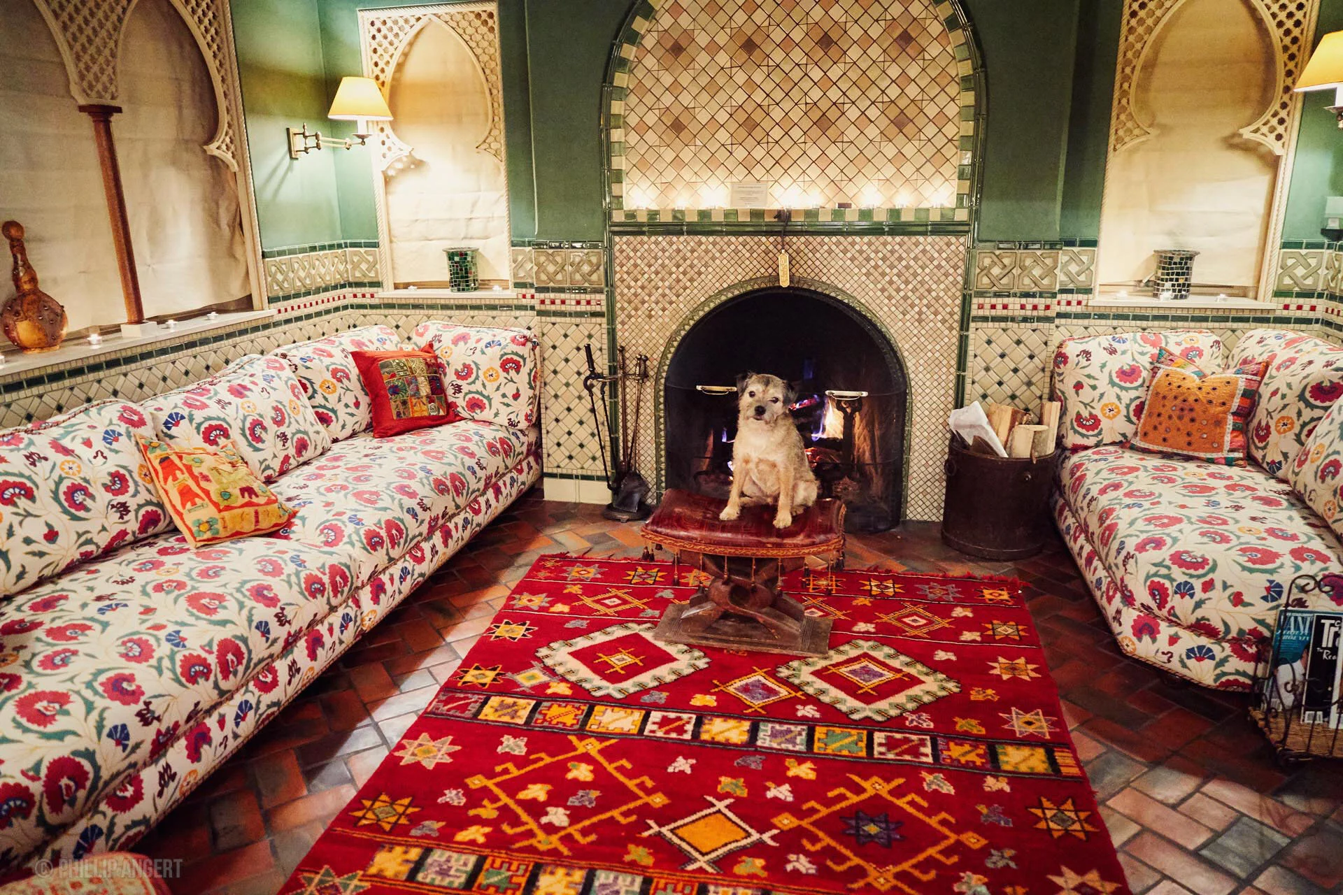 TwinFarms20191113PhillipAngert - 19.jpeg