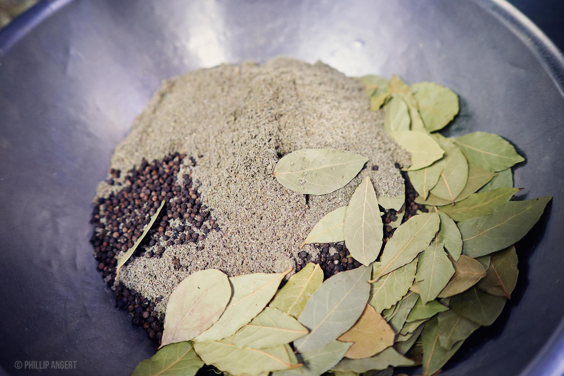 TwinFarms20191113PhillipAngert - 37.jpeg