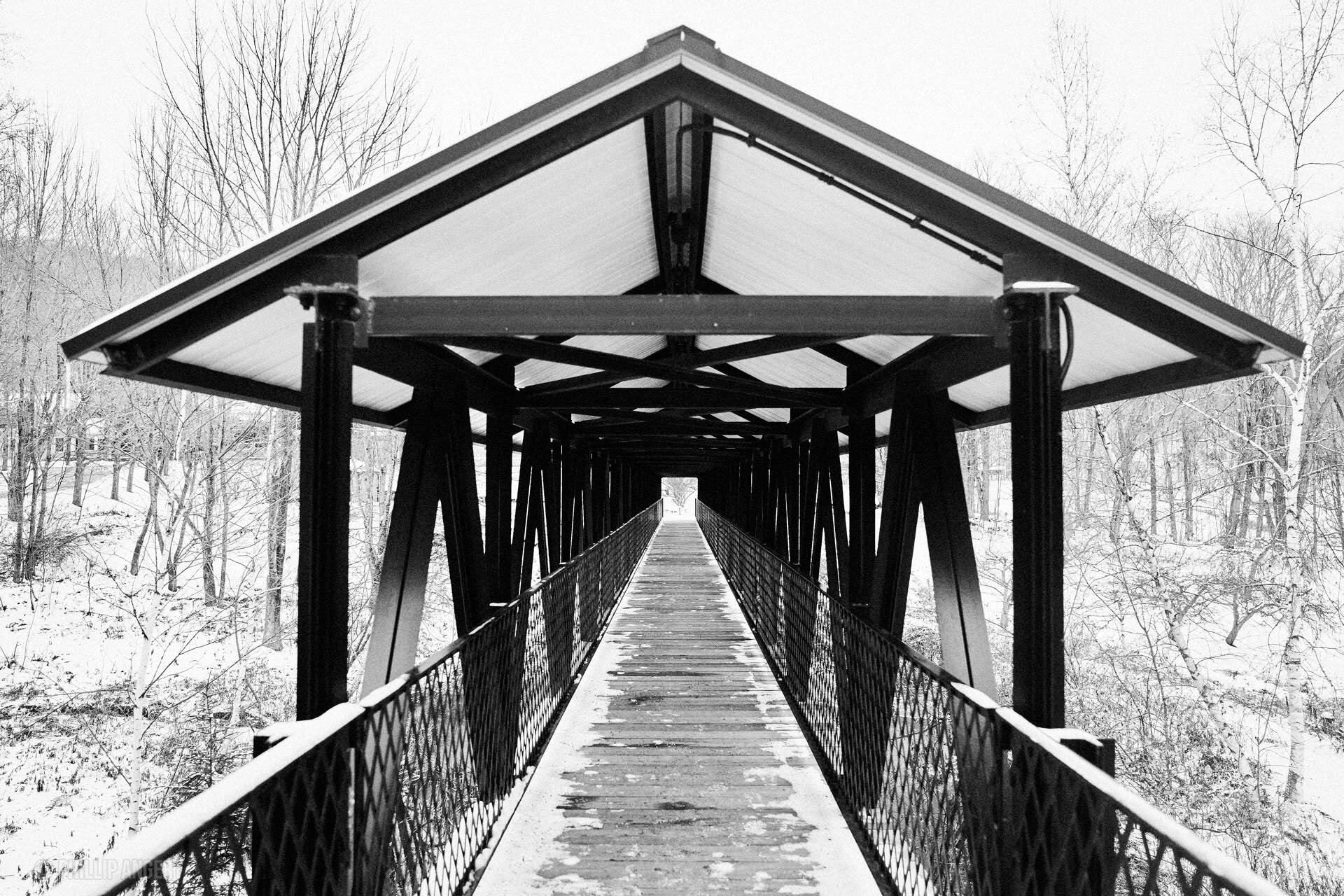 TwinFarms20191113PhillipAngert - 43.jpeg