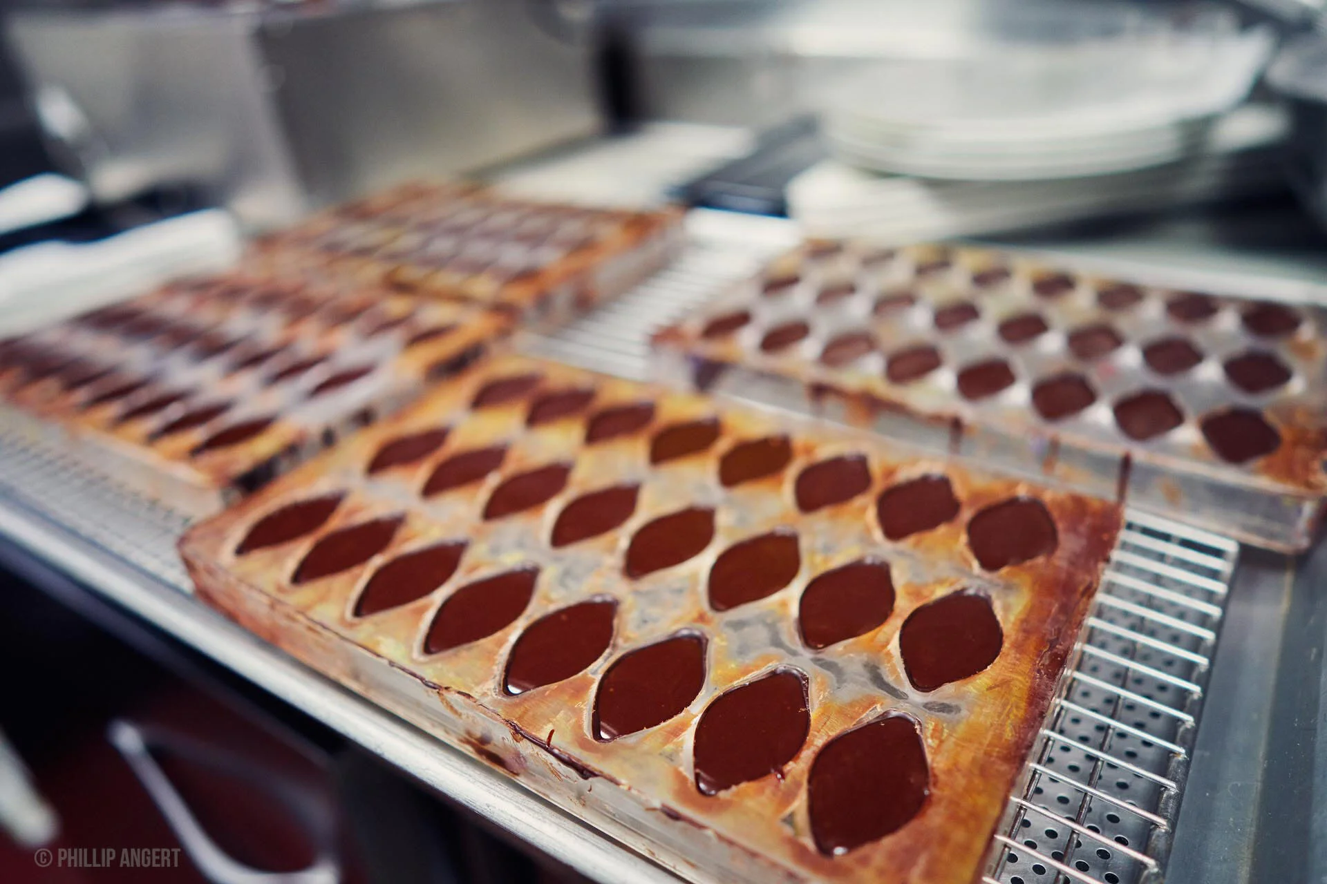 TwinFarms20191113PhillipAngert - 47.jpeg