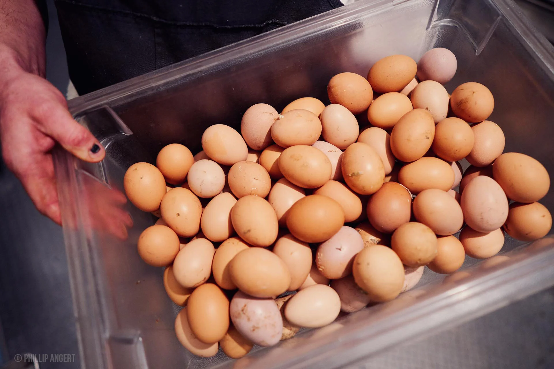 TwinFarms20191113PhillipAngert - 51.jpeg