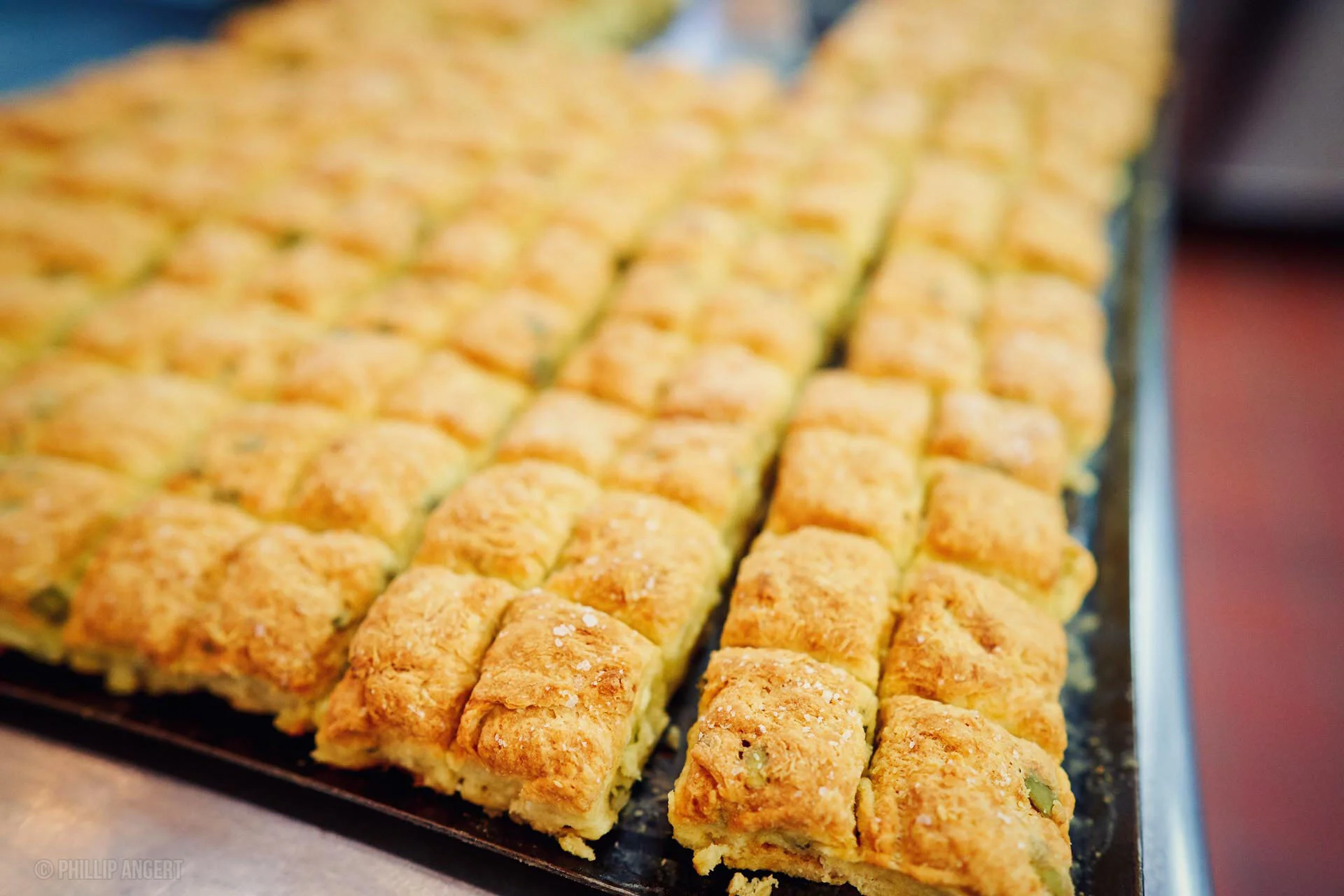 TwinFarms20191113PhillipAngert - 52.jpeg