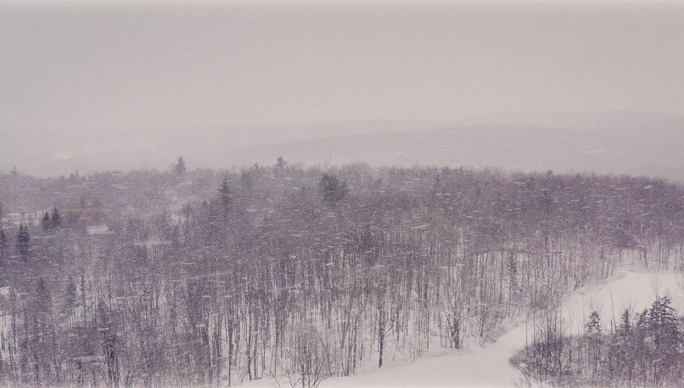 TwinFarms20191113PhillipAngert - 62.jpeg