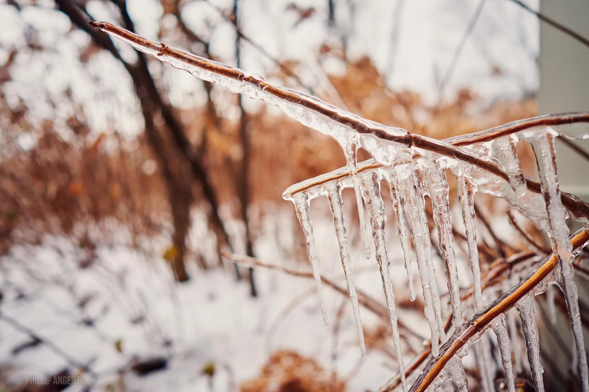 TwinFarms20191113PhillipAngert - 63.jpeg