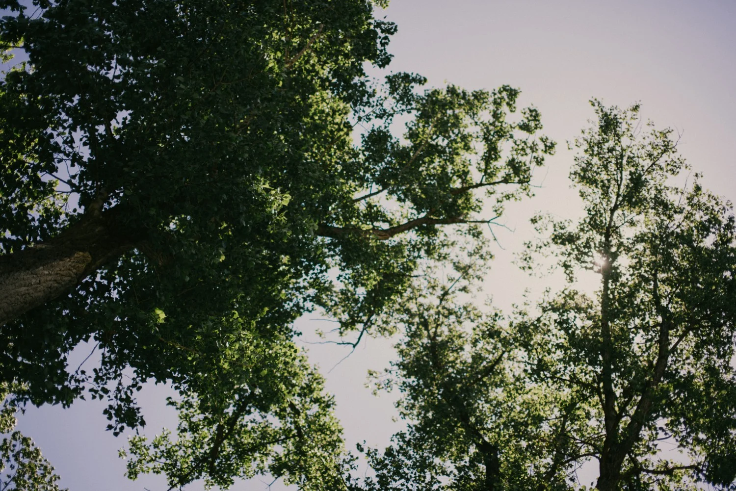 Eureka-campground-wedding_0697.jpg