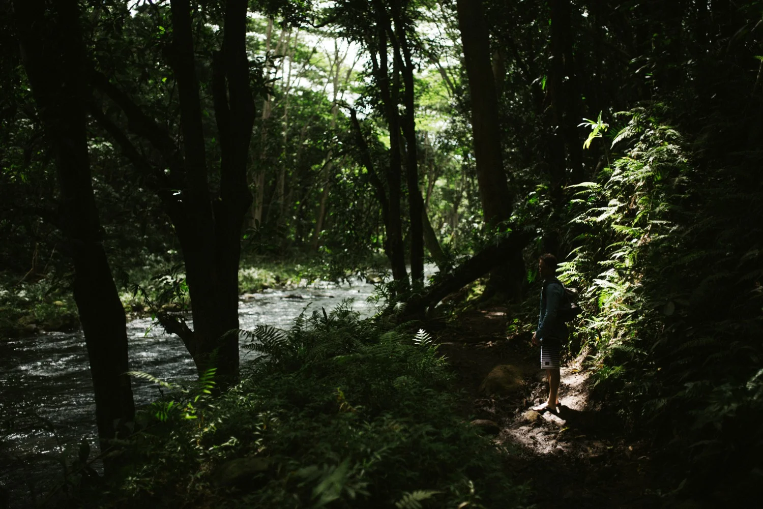 Kauai-adventure-photos_0862.jpg