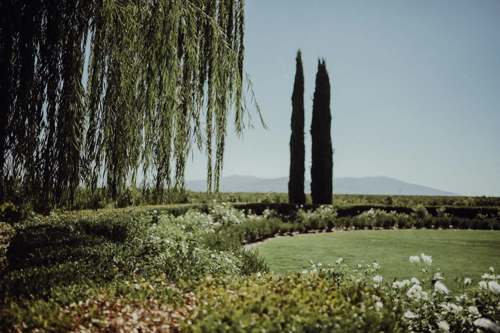 Temecula-Wedding-Ponte-Winery-5.jpg