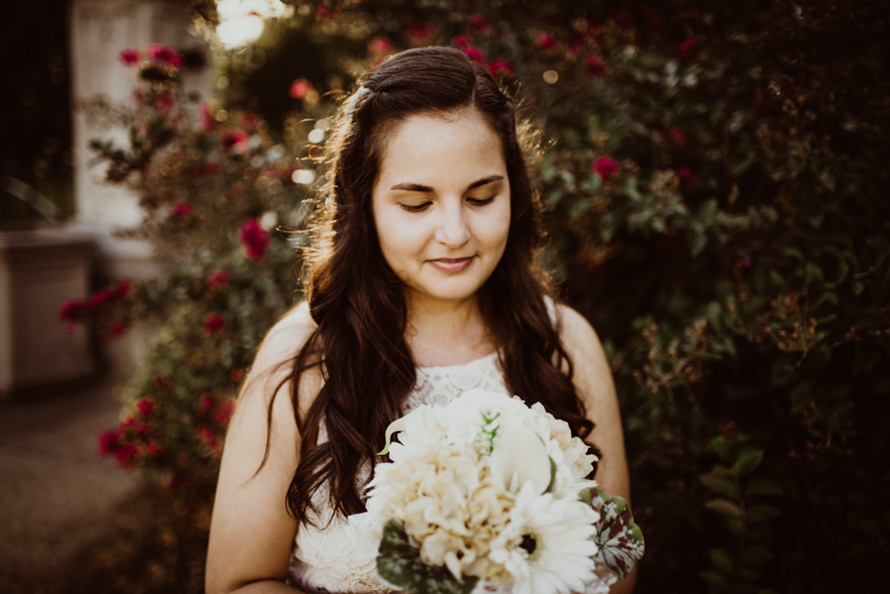 St-Louis-Elopement-Photos-Lafayette-Square-Park-27.jpg