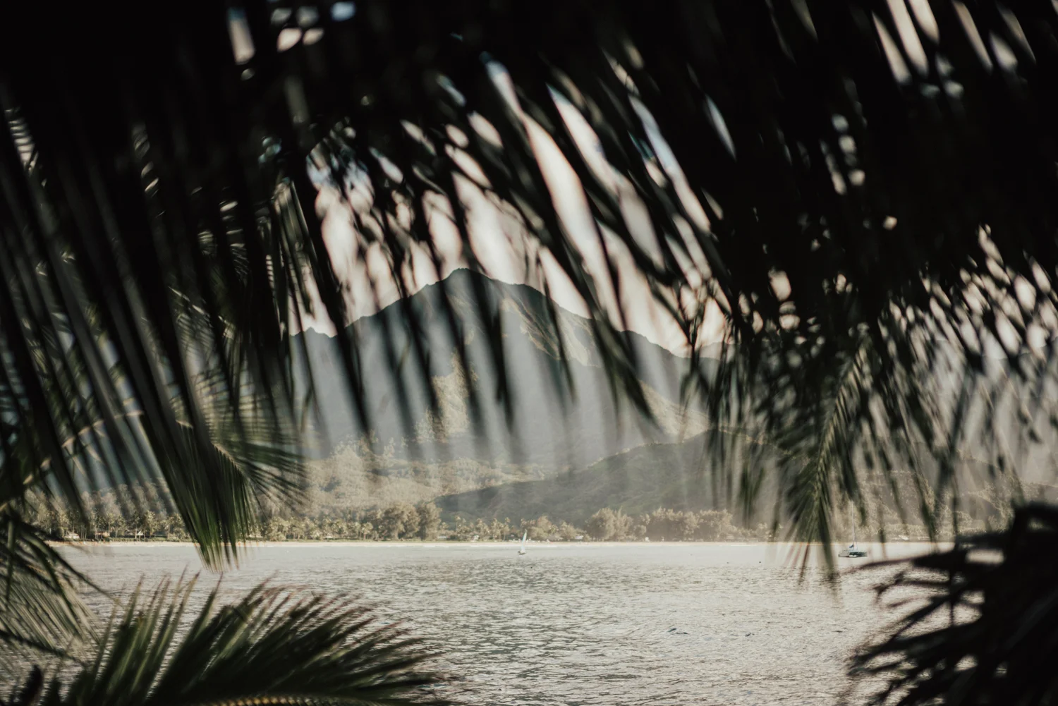 Kauai-elopement-photographer-73.jpg