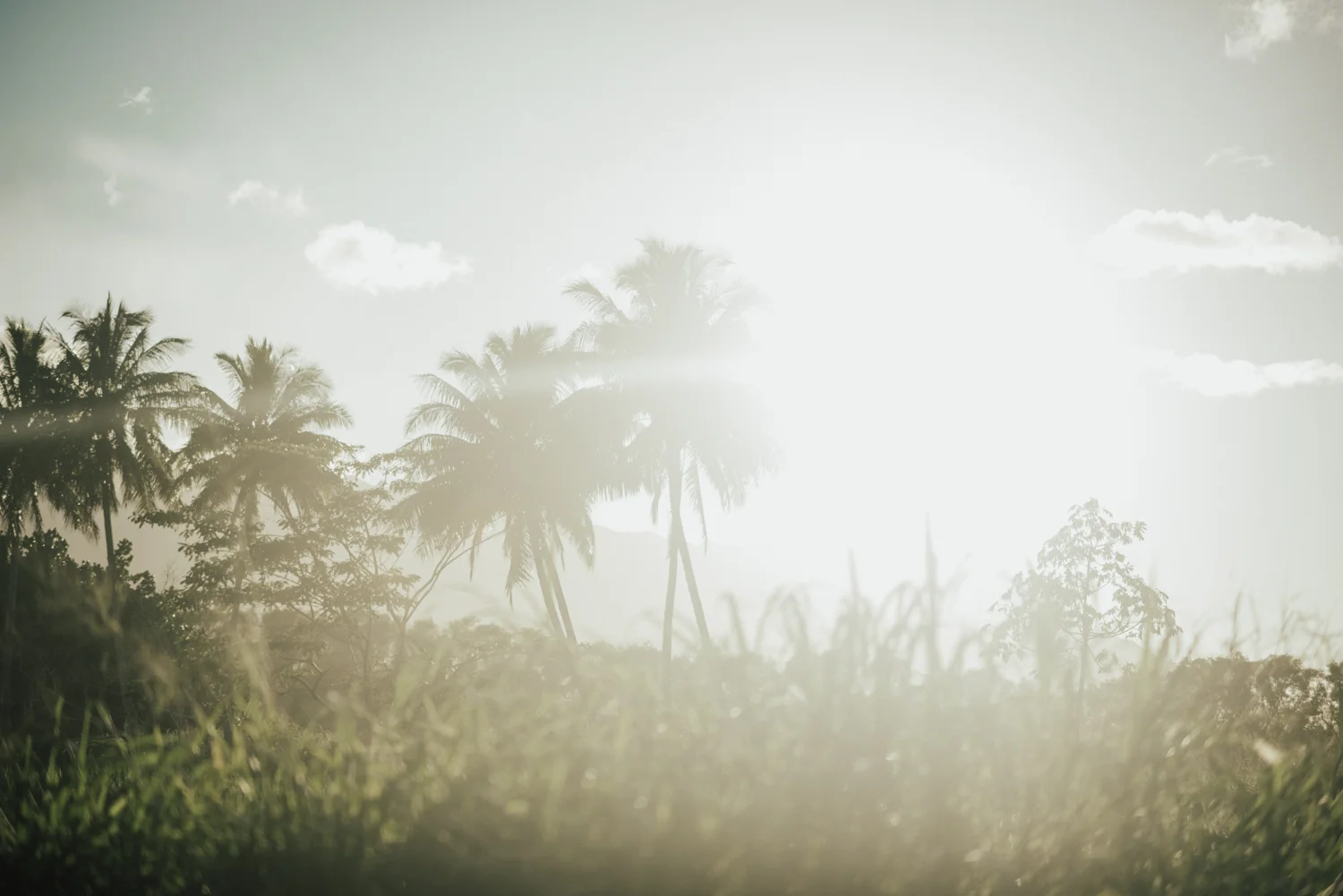 Kauai-elopement-photographer-79.jpg