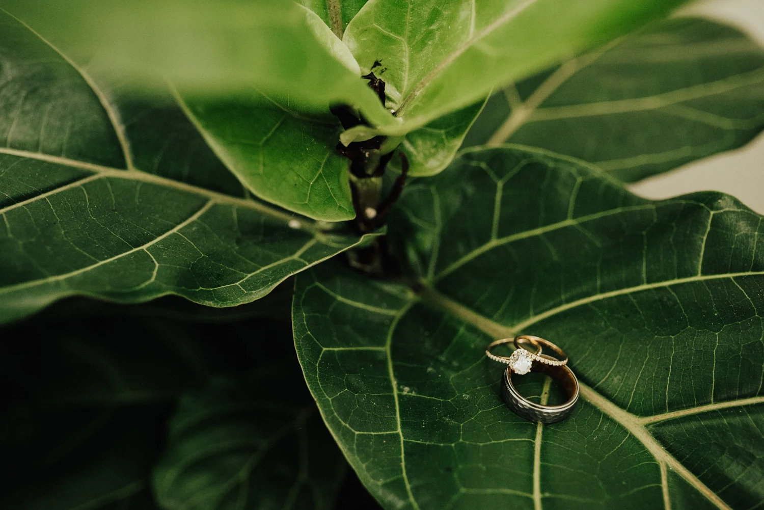 adventurous-Hawaii-elopement-photographers-2.jpg
