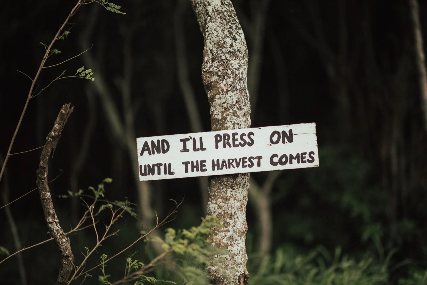 adventurous-Hawaii-elopement-photographers-44.jpg