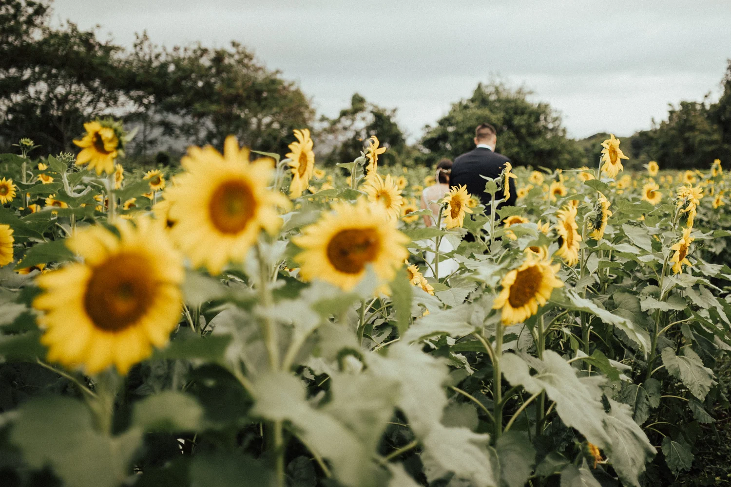 adventurous-Hawaii-elopement-photographers-66.jpg