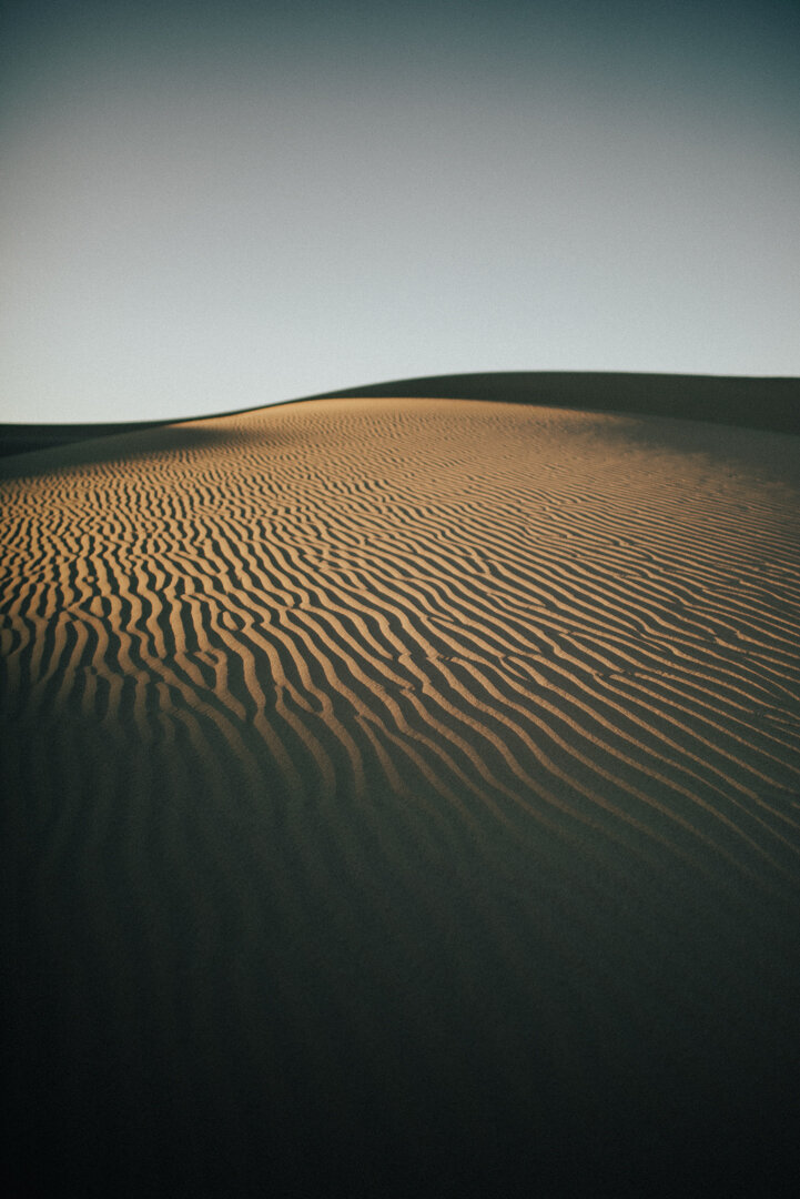 Dumont-Dunes-CA-engagement-photos-19.jpg