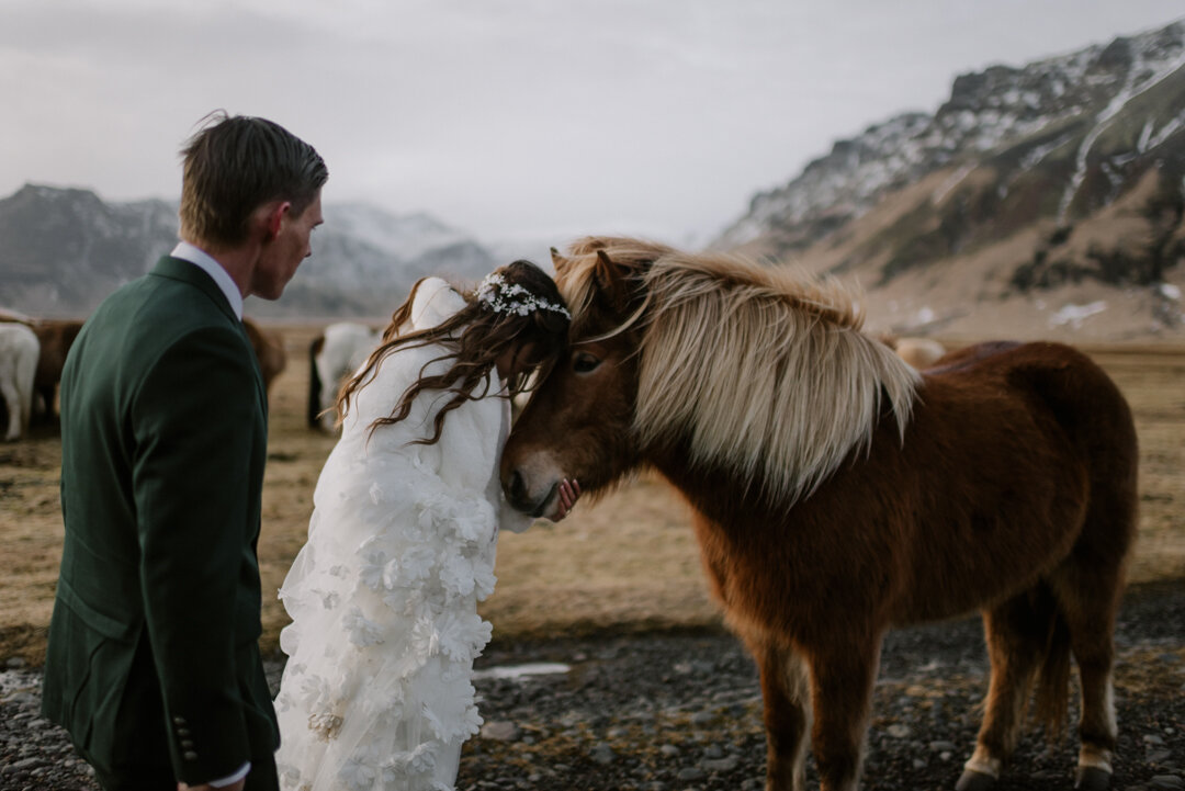 Iceland-elopement-adventure-83.jpg