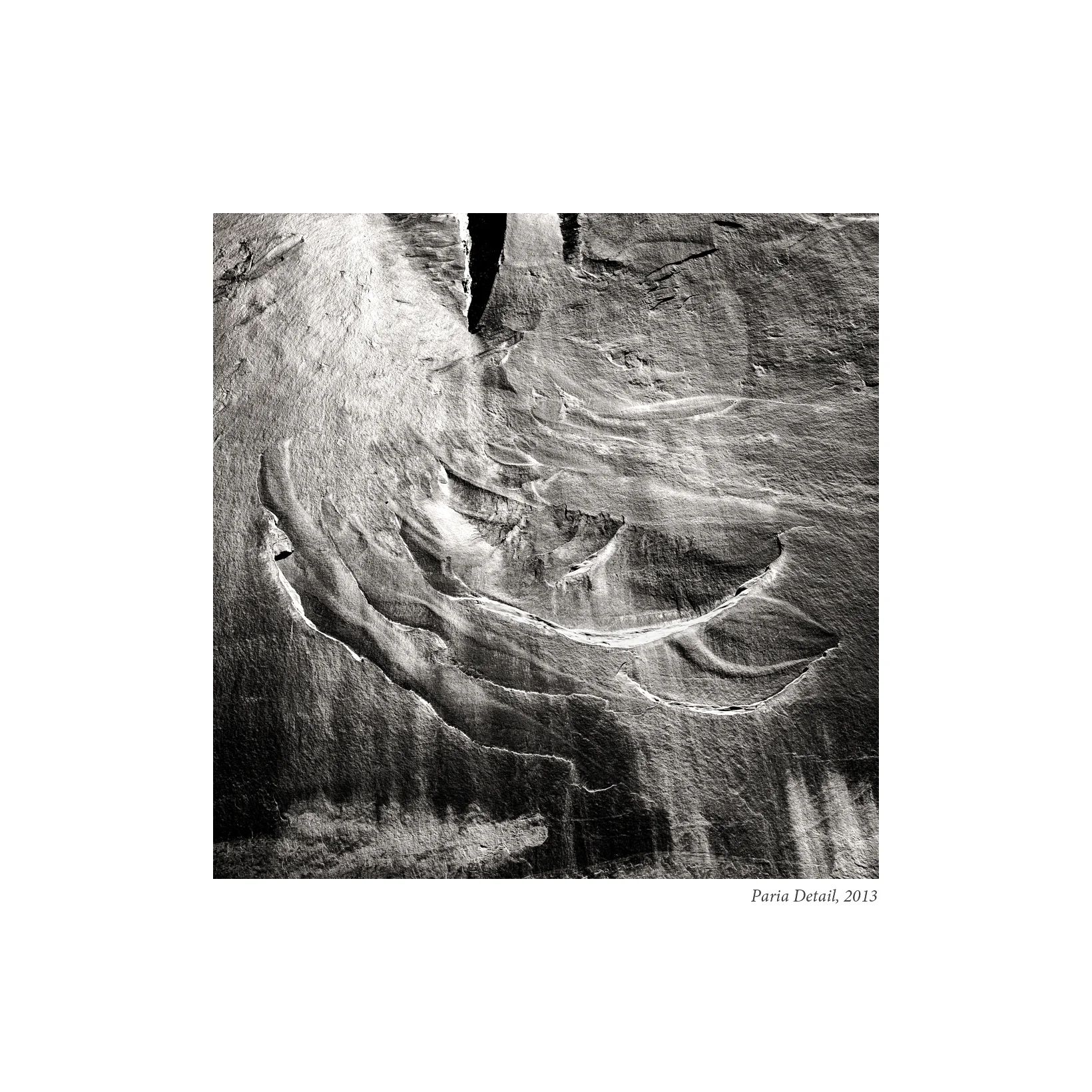 Paria Detail.jpg