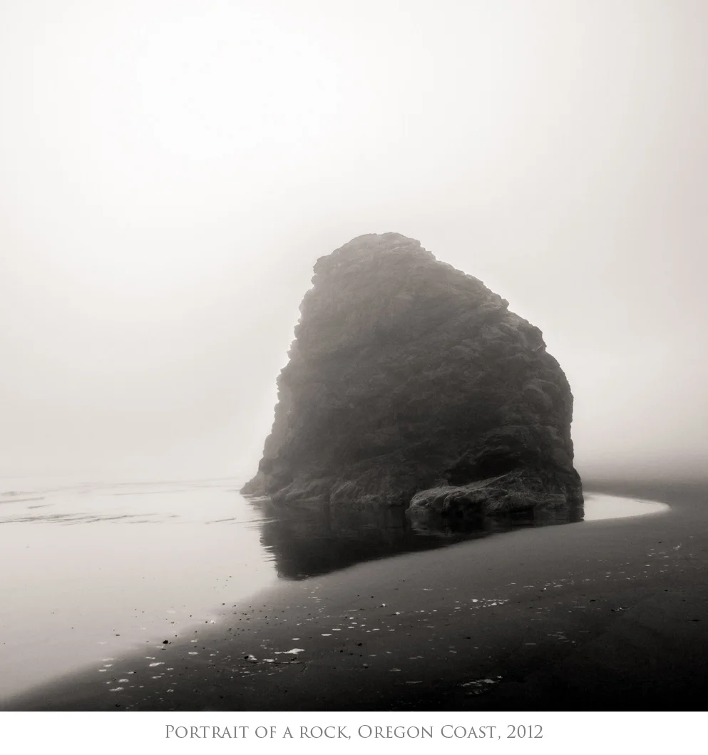 Portrait of a Rock.jpg