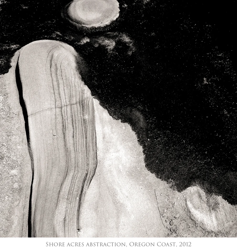 Shore Acres Abstract.jpg