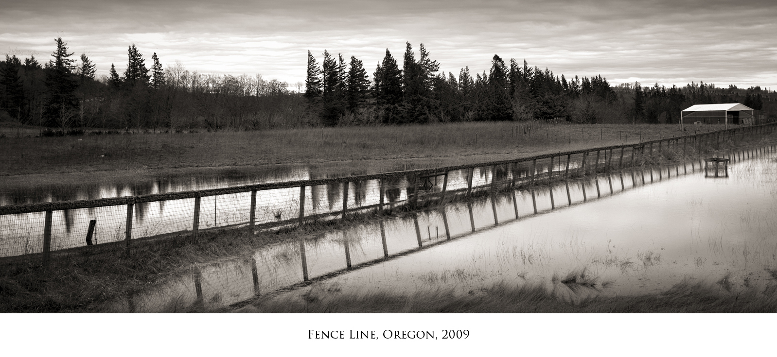 Fence-line.jpg
