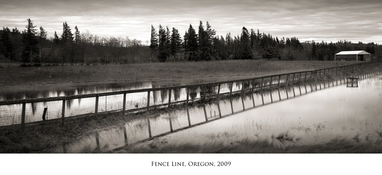 Fence-line.jpg