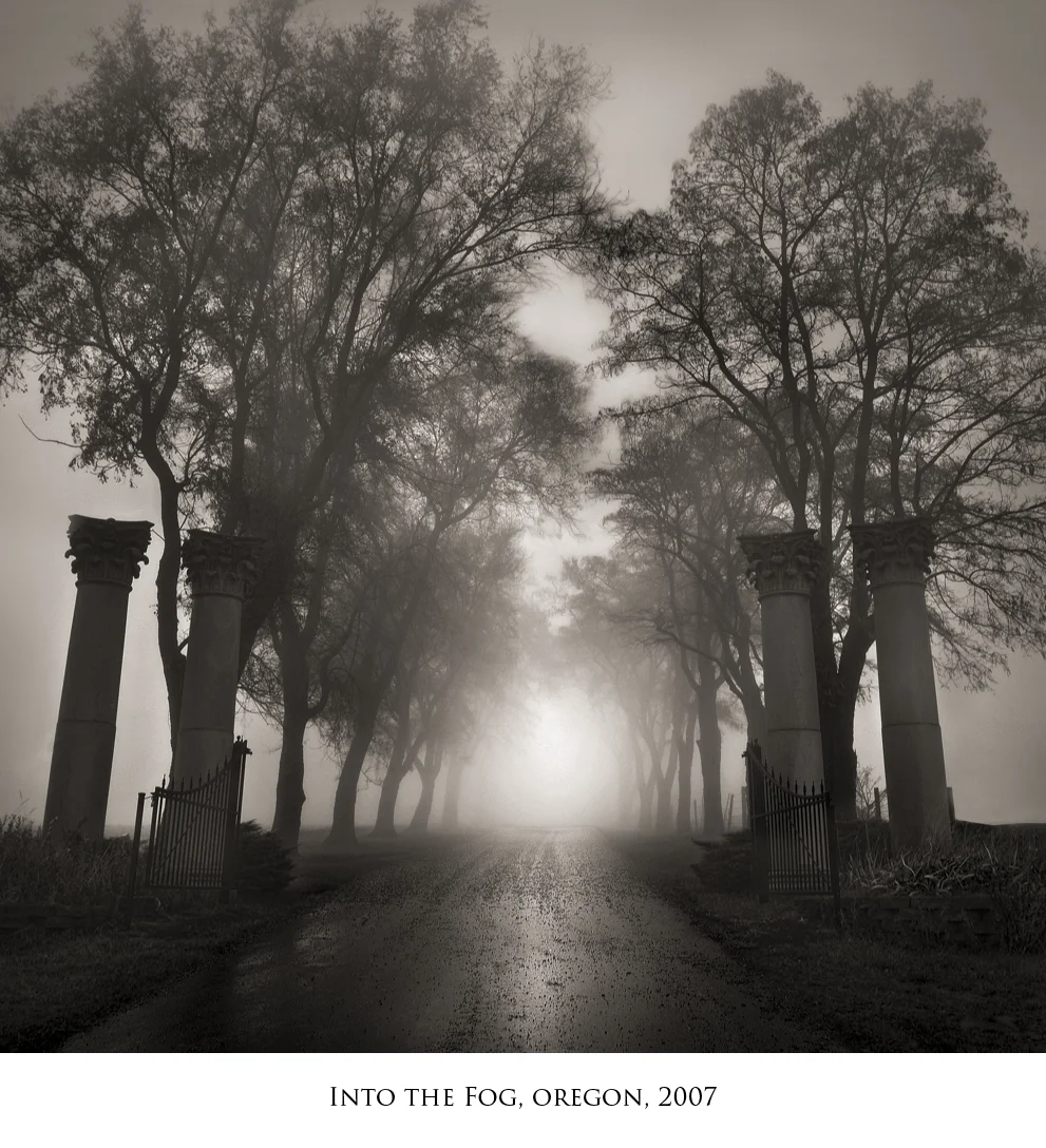 Into the Fog.jpg