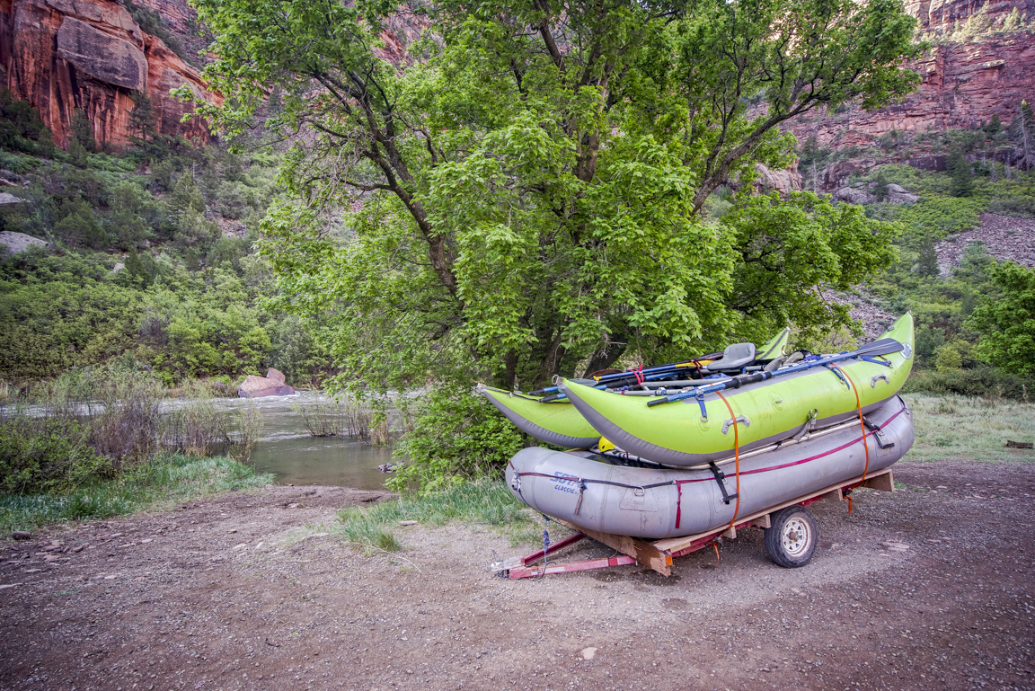 The green cat boat!