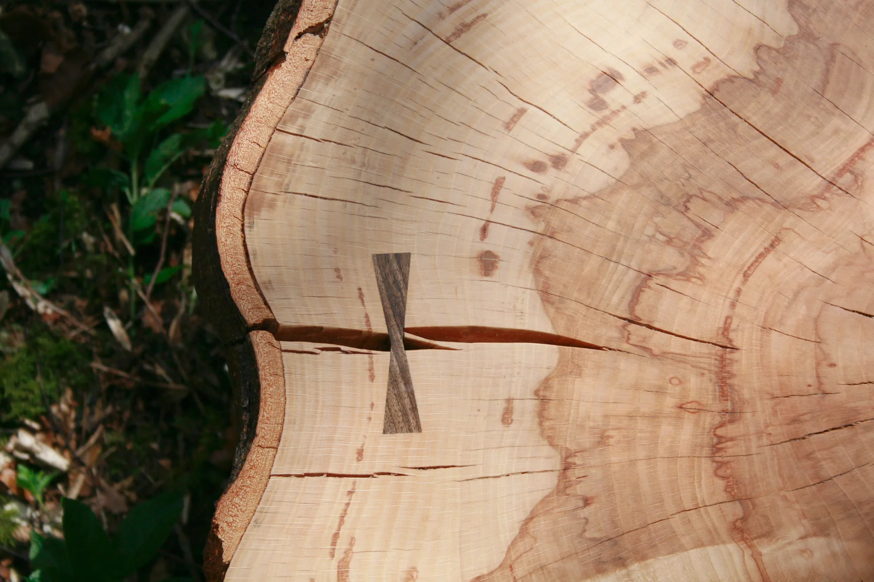 beech-round-cookie-coffee-table-walnut-dovetail-key.jpg