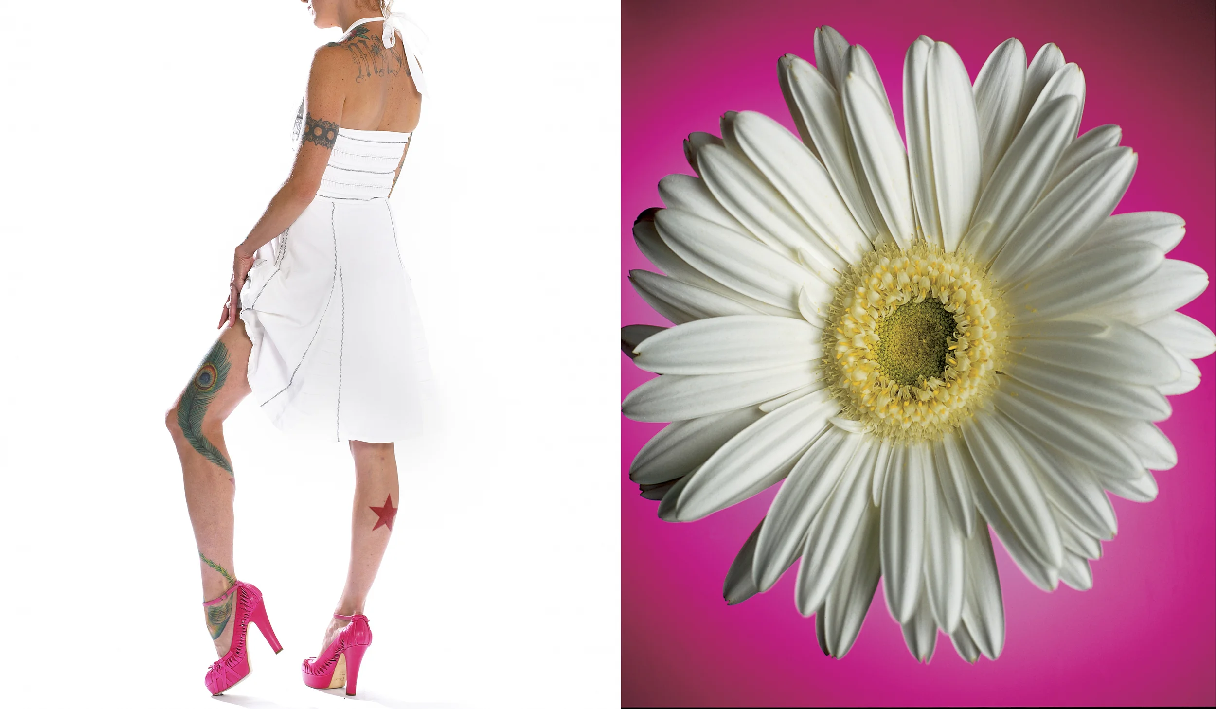 daisy.jpg