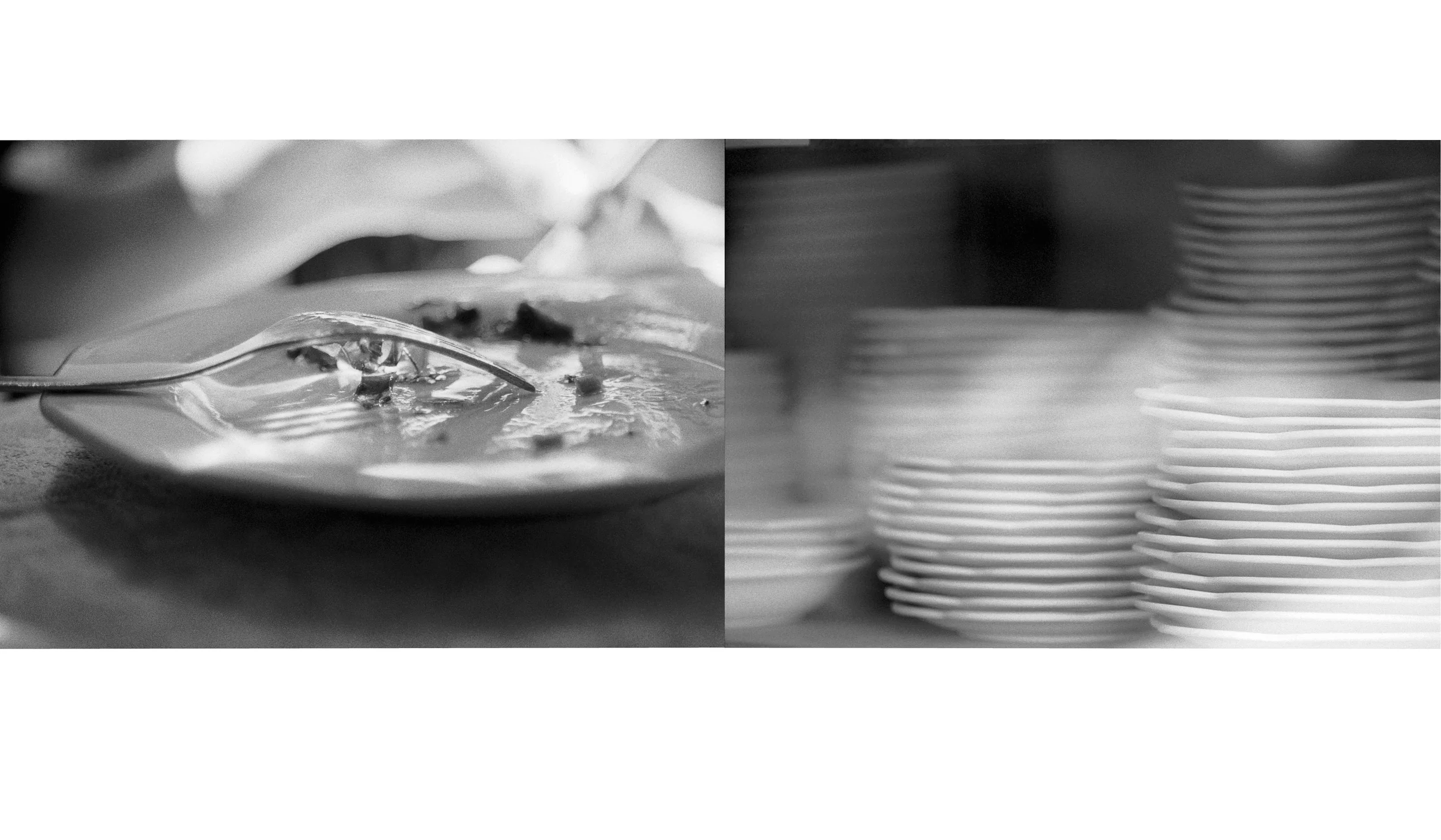 plate.jpg