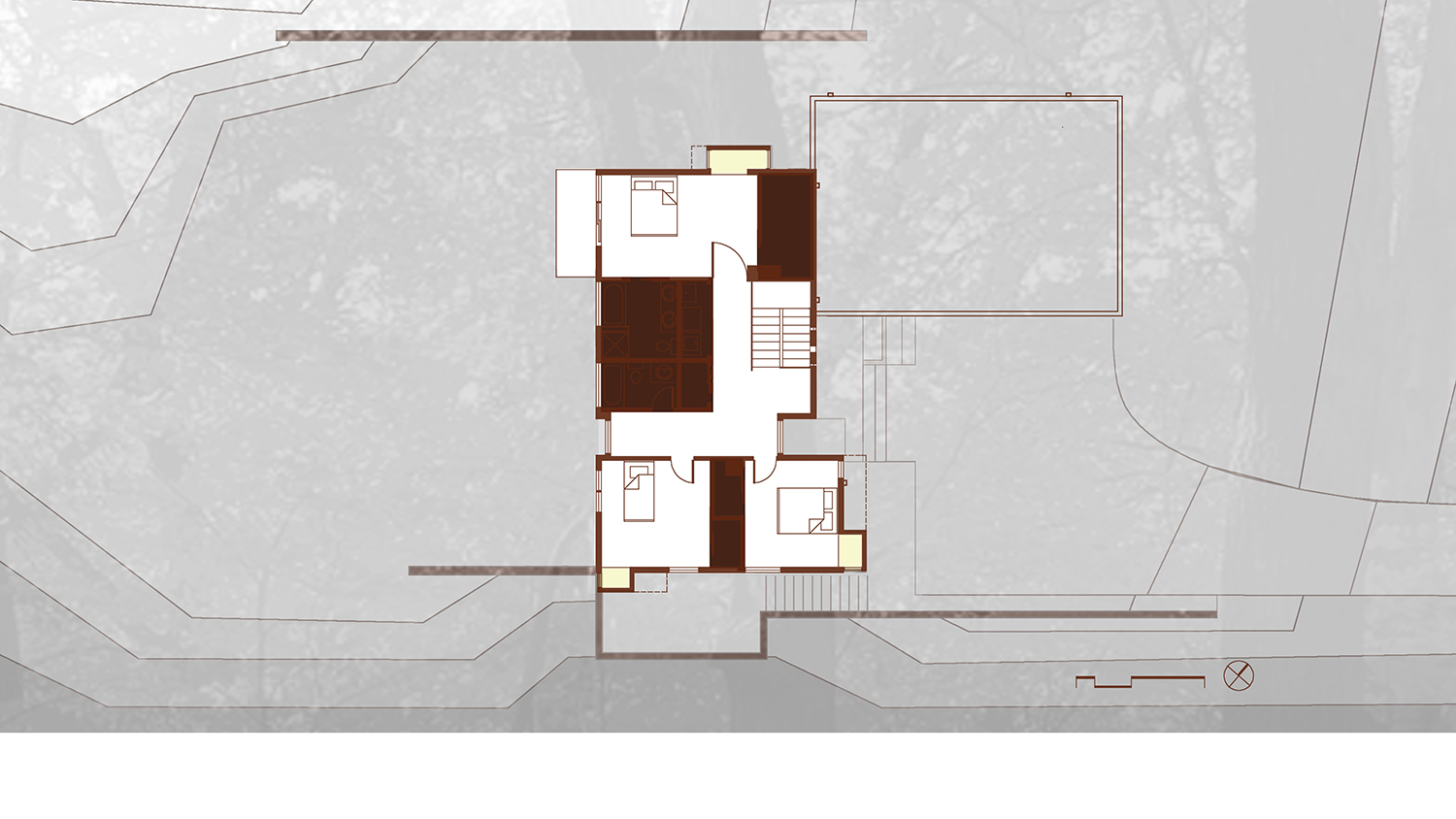 GRAPHIC NATURE HOUSE