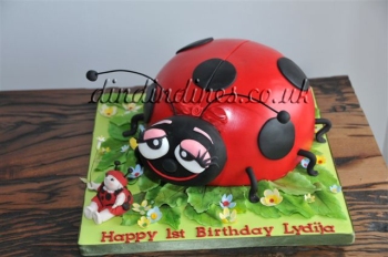 Ladybirdbirthdaycake.jpg
