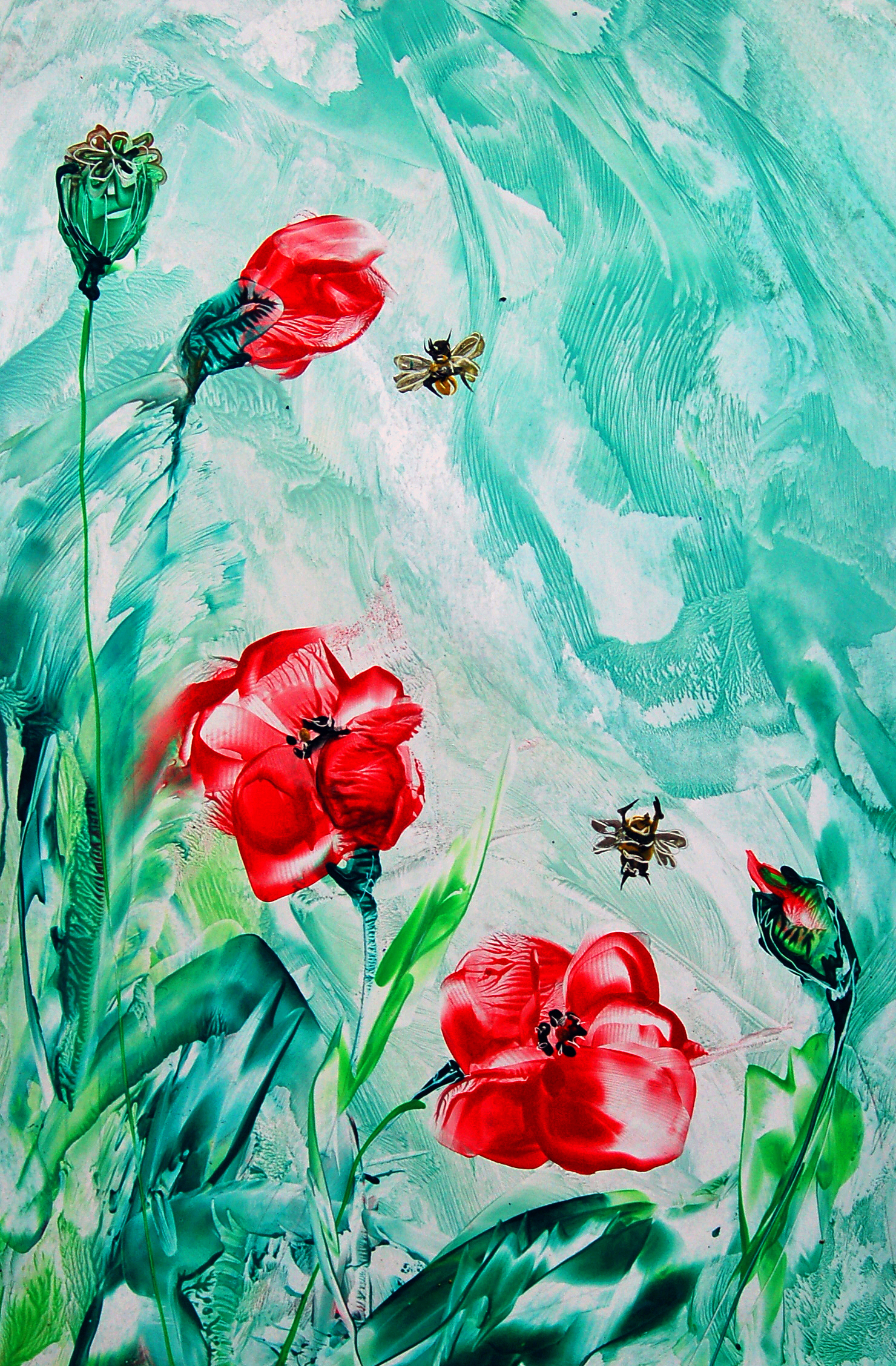 Poppies and Bees.jpg