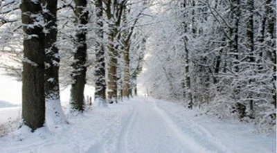 winter-walk.jpg