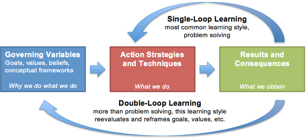 Adapted from interpretations of Argyris’s writings: Chris Argyris: theories of action, double-loop learning and organizational learning and Doing Things Right vs. Doing the Right Things