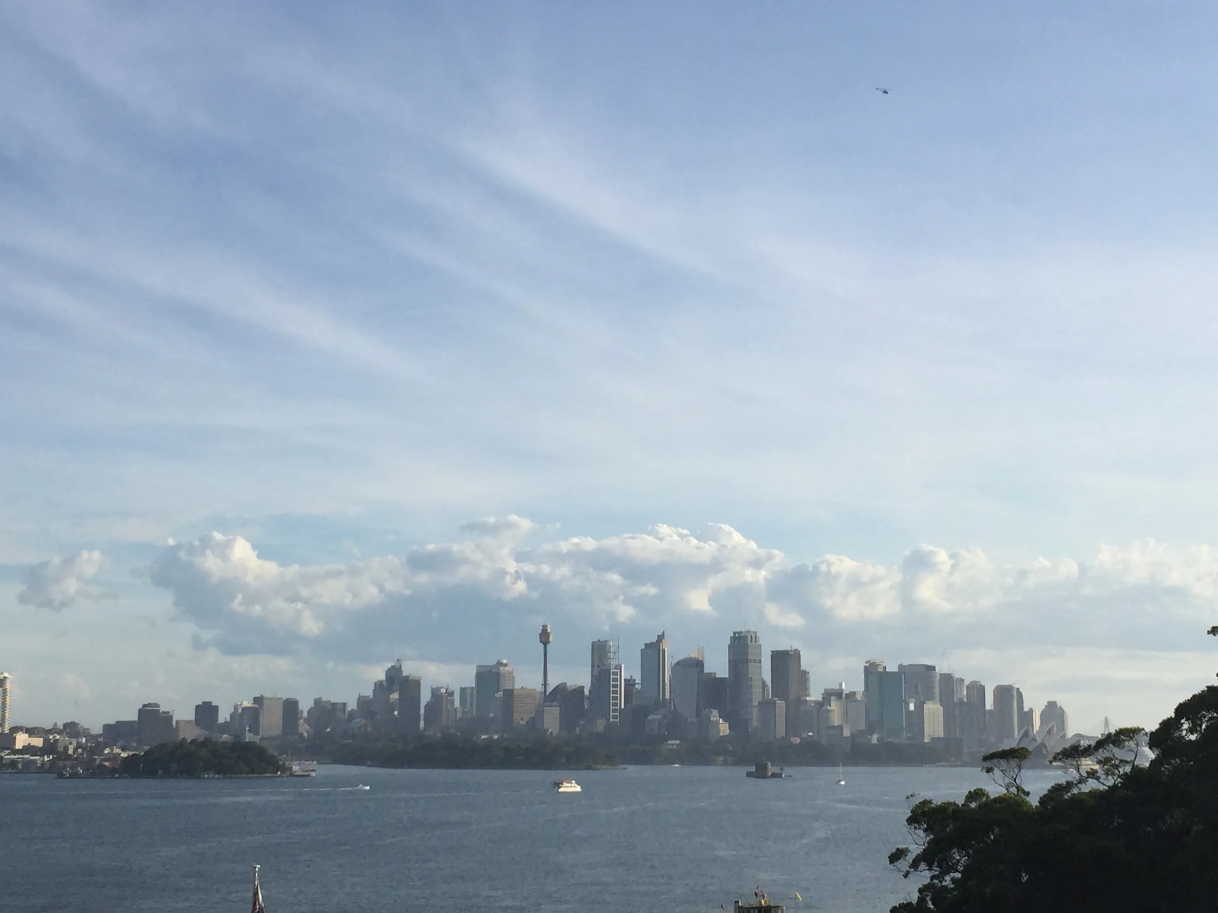 View from Taronga Zoo.
