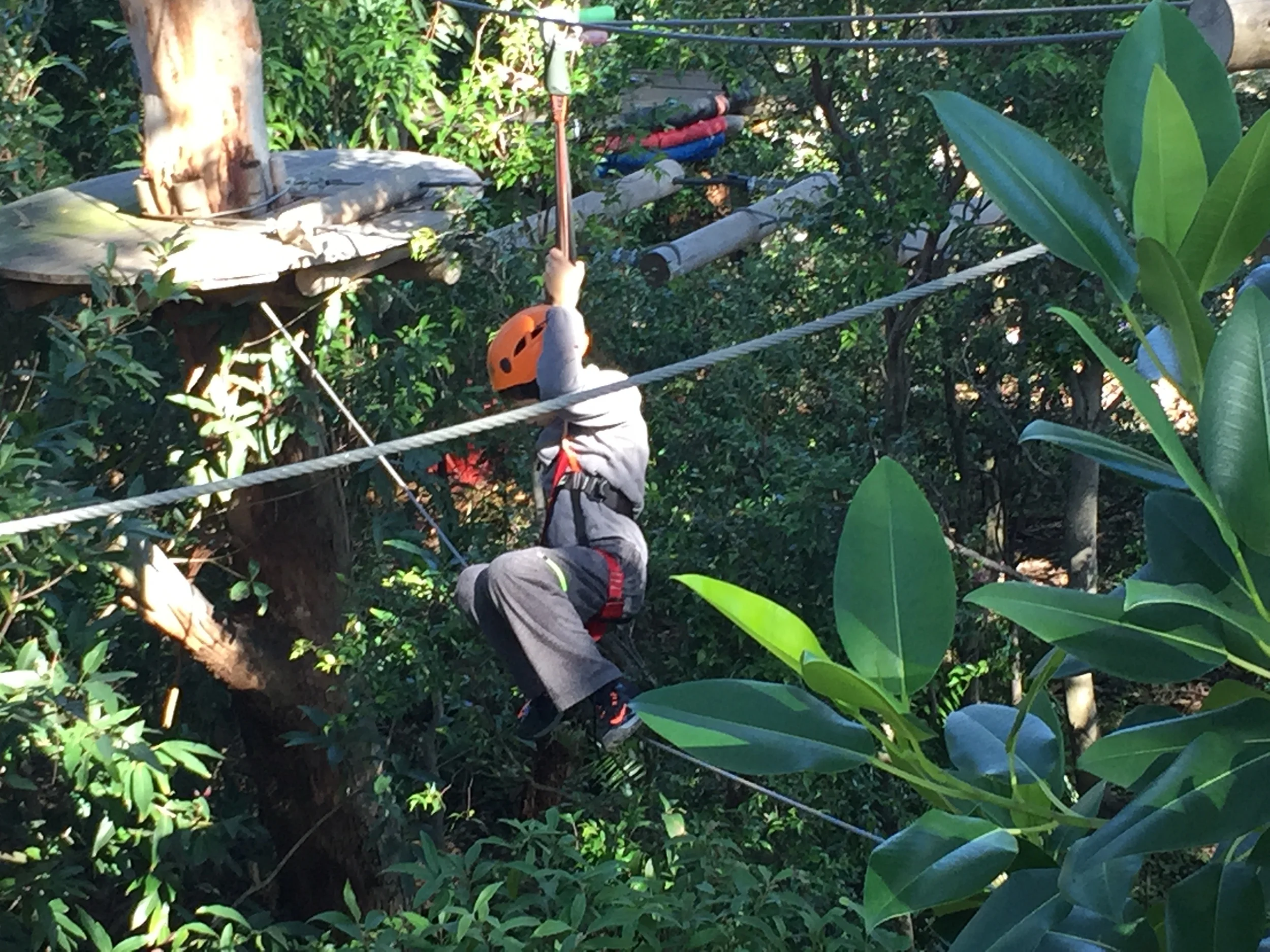 Ropes course at Sydney Olympic Park