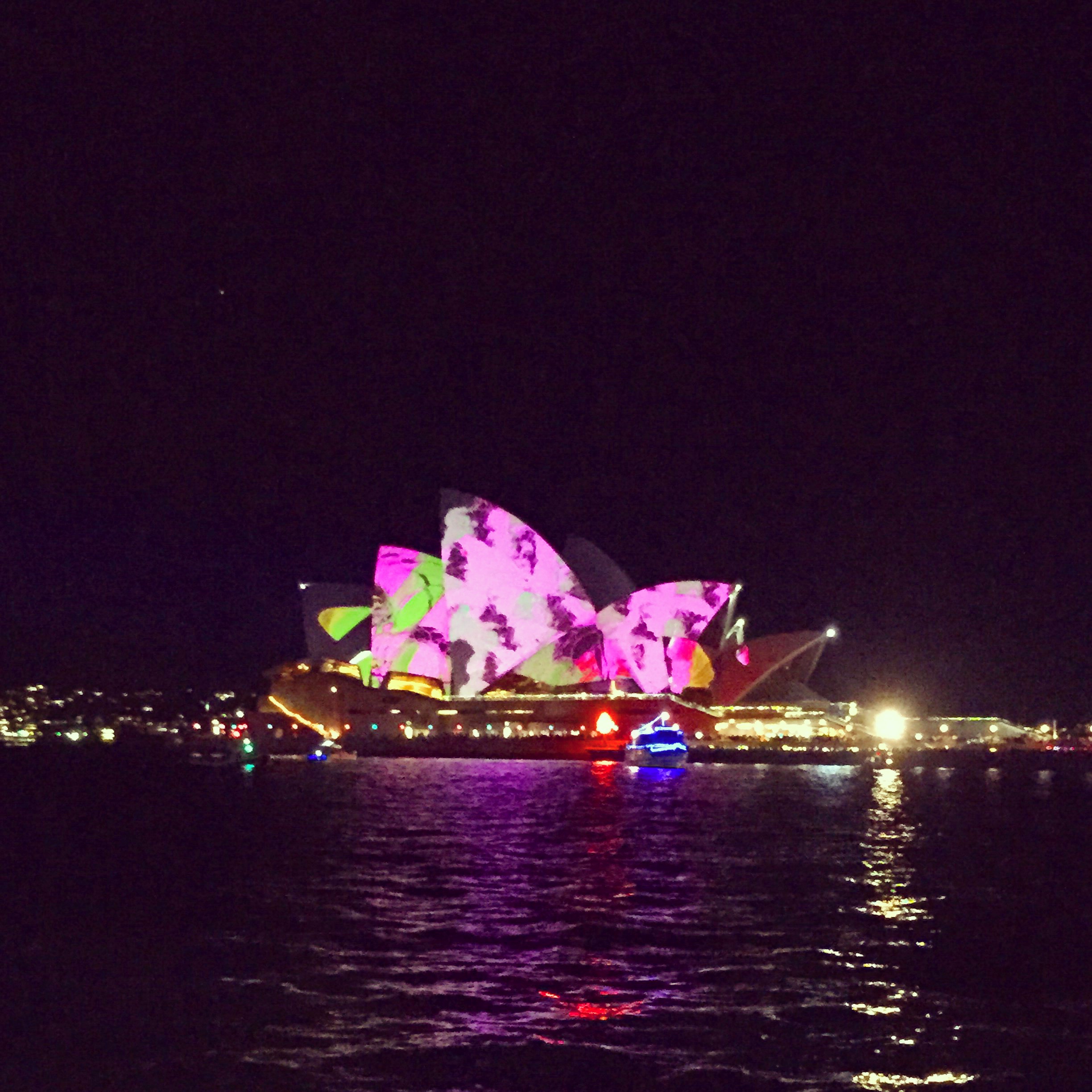 Year 1 of the Great Australian Adventure Recap