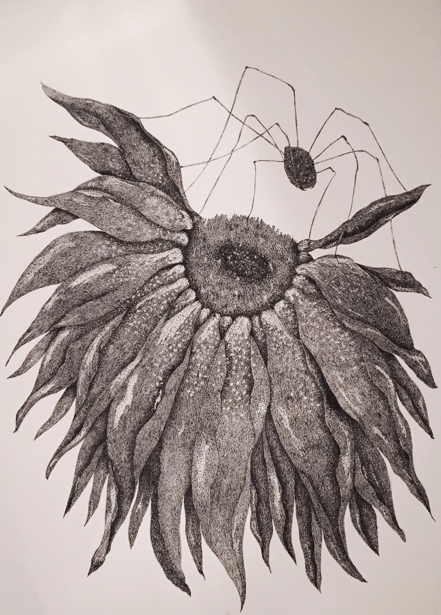 Mary Ann Artwork.jpg