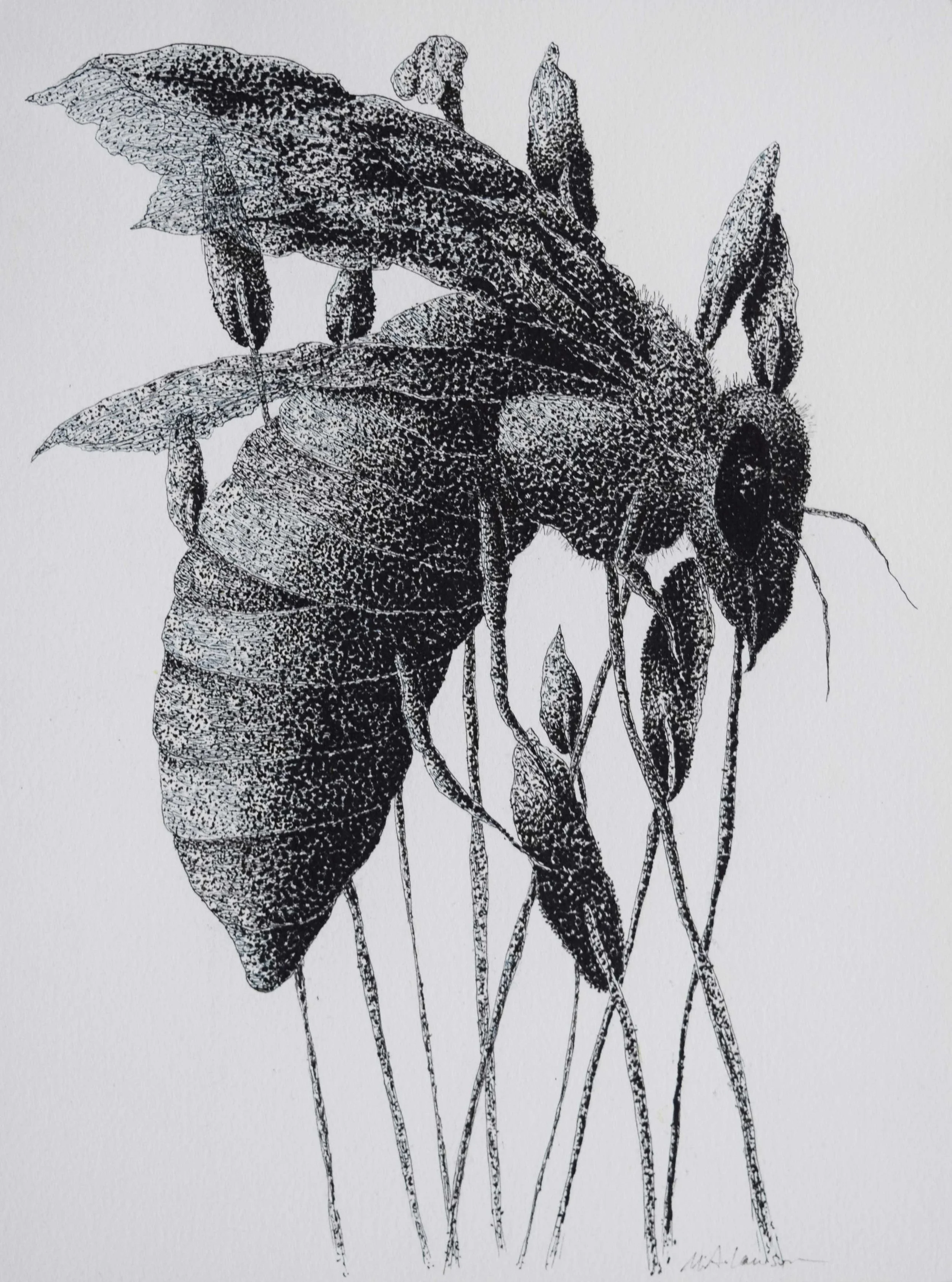 Pollination