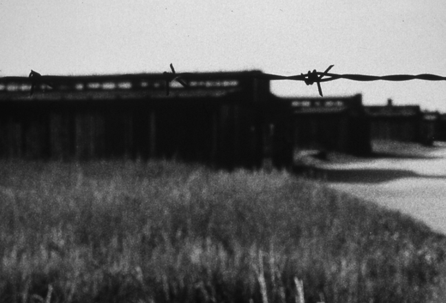 11. Wooden Barracks, Birkenau