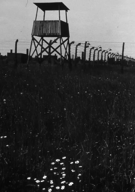 14. On a Sunny Evening