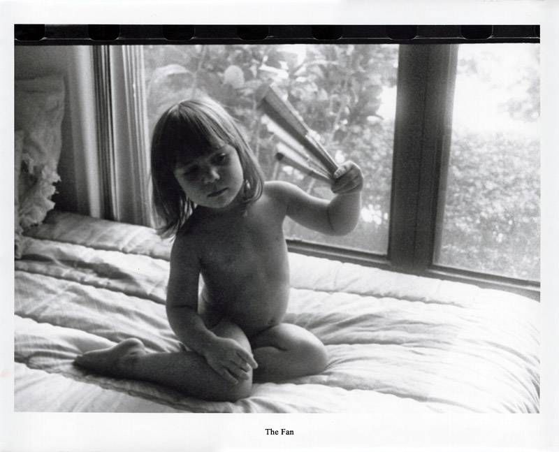the_fan.jpg