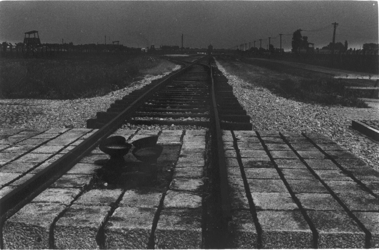 9. End of the line, Birkenau
