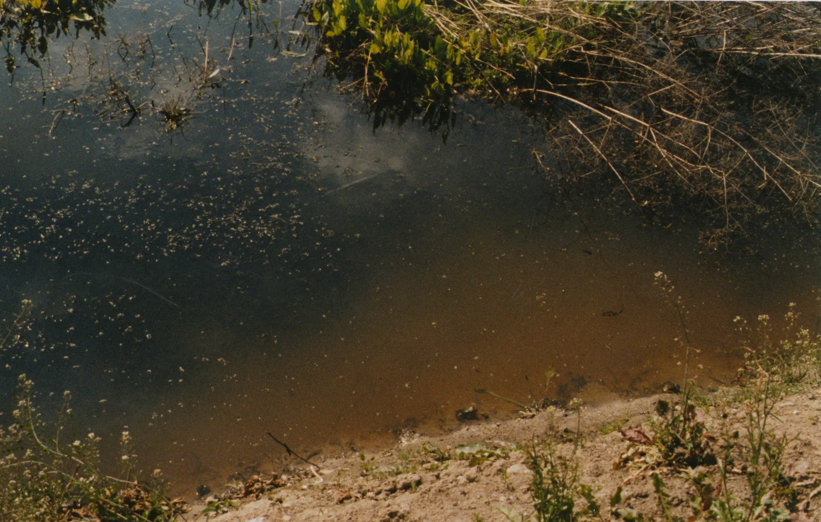 Ashes, Birkenau, Auschwitz II