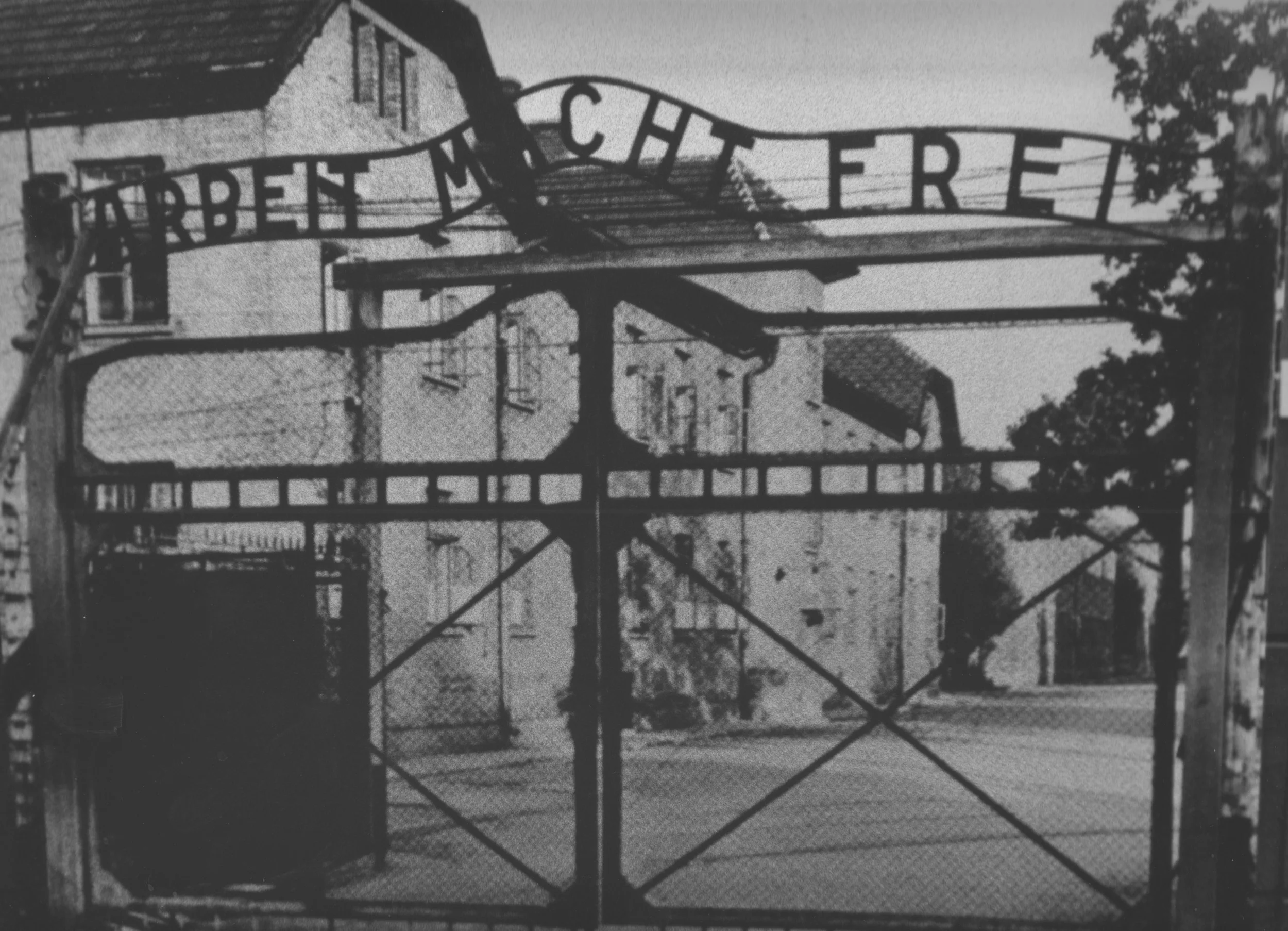 5. Work Makes Freedom