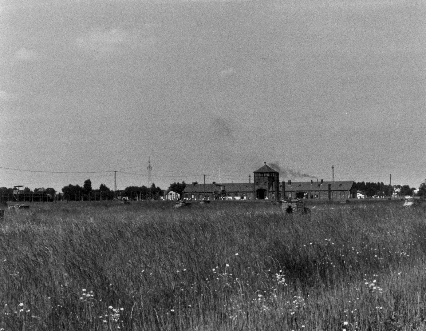 8. Entrance, Birkenau