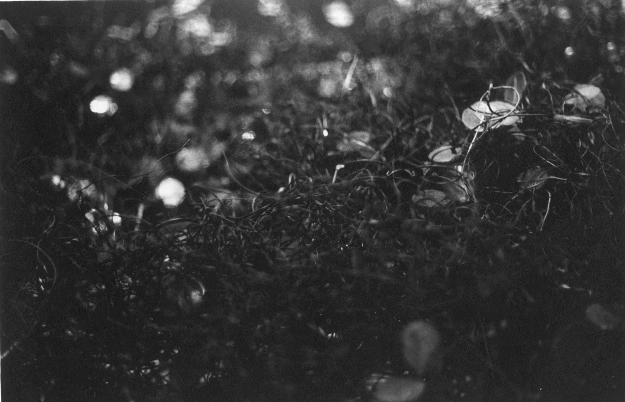 23. I See Permanent Darkness