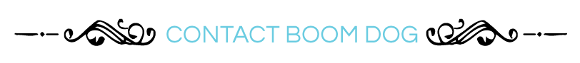 BDHeaderContact001.png