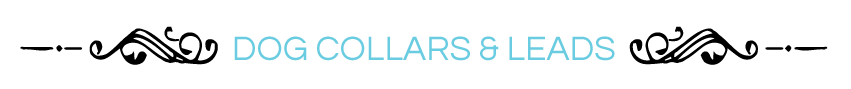 BDHeaderCollarLead001.png