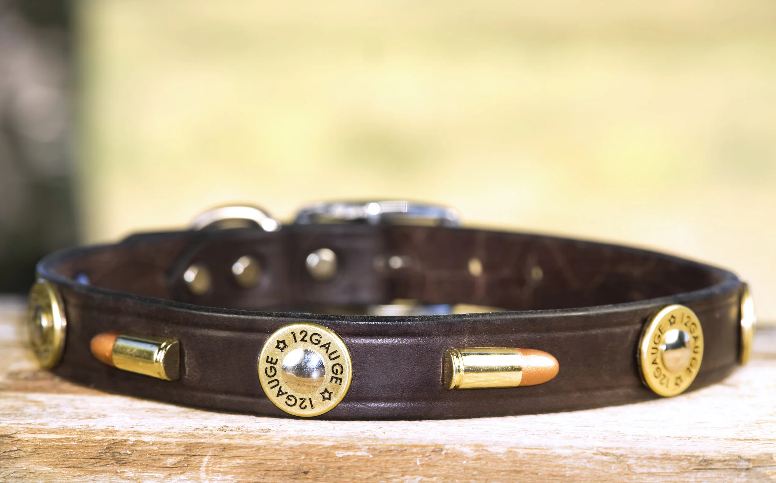 bullet dog collar